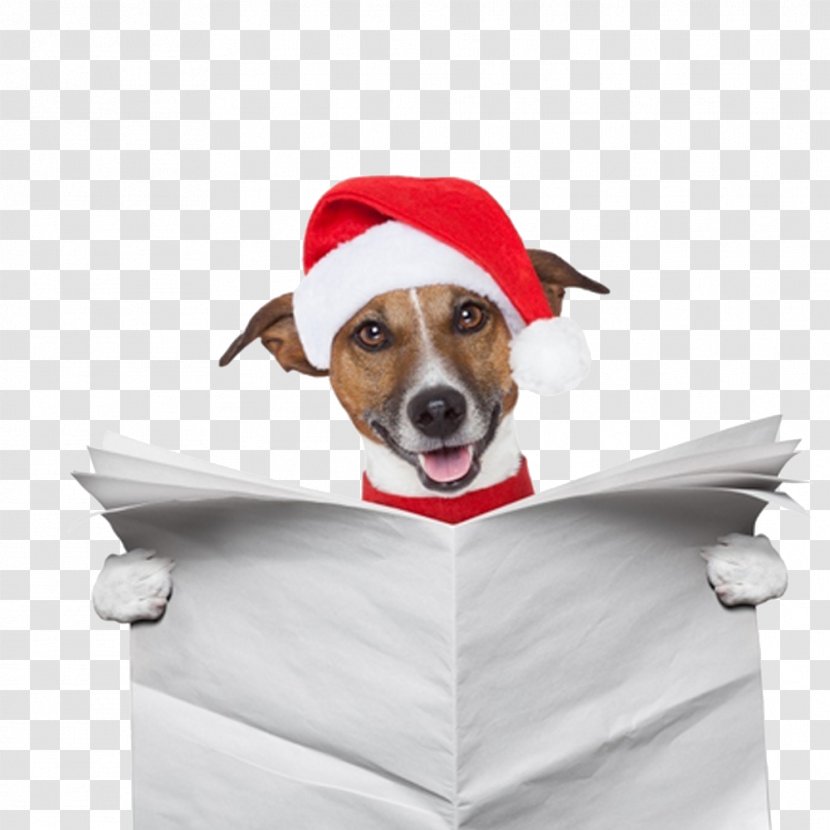 Pug Santa Claus Christmas Gift - Dog Breed - Read Newspapers Pet Transparent PNG