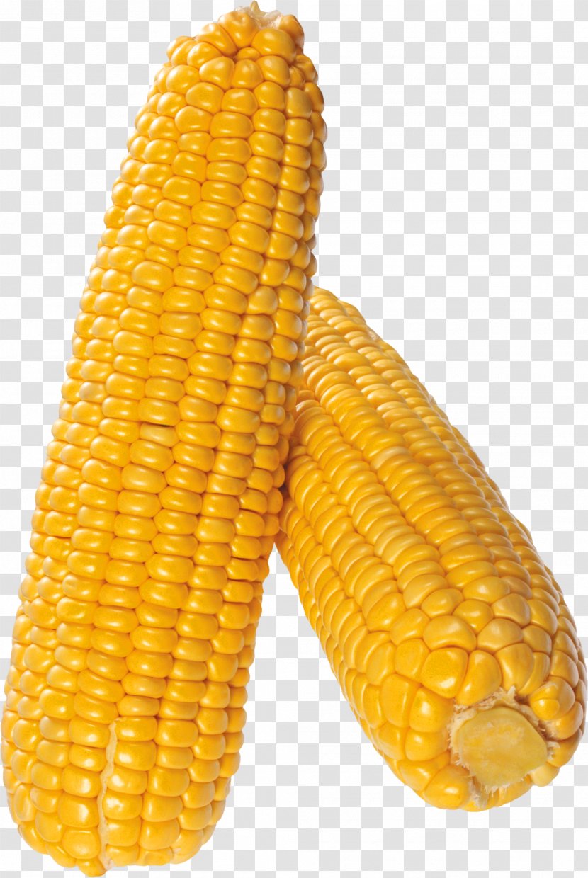 Corn On The Cob Sweet Kernel Field Corncob - Baby - Popcorn Transparent PNG