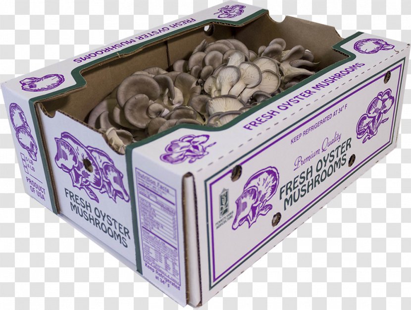 The Oyster Box Hotel Mushroom Quality Transparent PNG