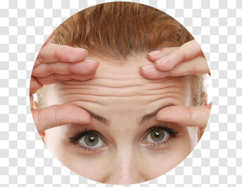Wrinkle Forehead Frown Ageing Eyebrow - Skin - What Causes Aging Transparent PNG
