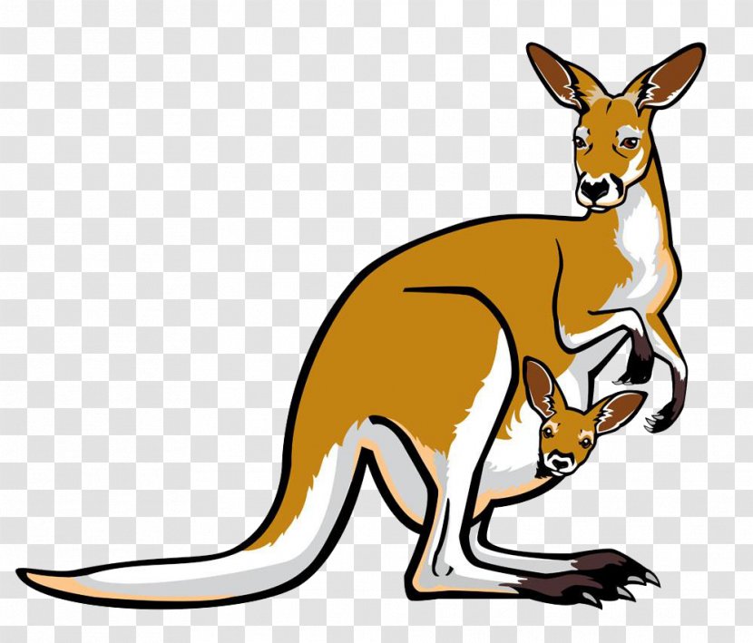 Red Kangaroo Pouch Illustration - Tail - Cartoon Transparent PNG