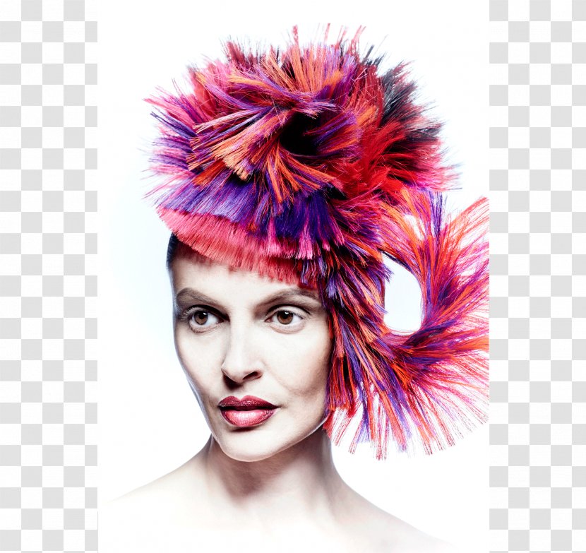 Human Hair Color Coloring Headpiece Eyebrow - Wig Transparent PNG