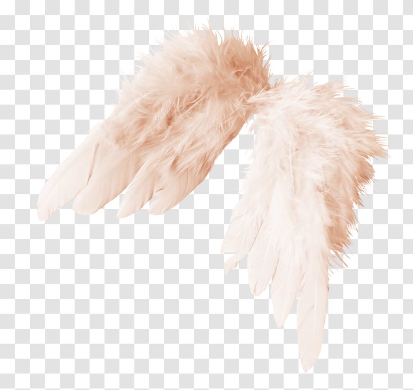 Angel Desktop Wallpaper Wing - Feather Transparent PNG