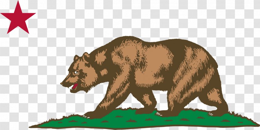Sonoma California Republic Flag Of Alta Grizzly Bear - Big Transparent PNG