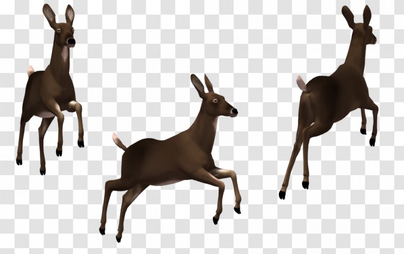 Deer Clip Art - Antelope - Free Pictures Transparent PNG