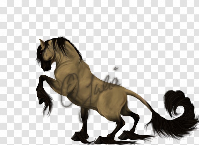 Lion Howrse Mustang Pony Mane - Art Transparent PNG
