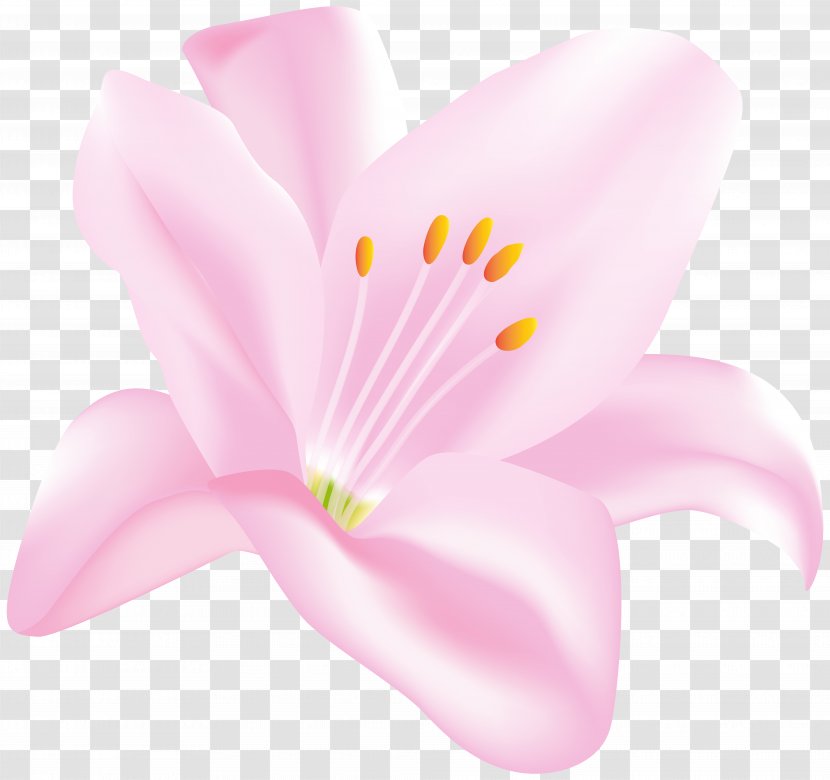 Petal Blossom Herbaceous Plant - Lilac - Flower Transparent Clip Art Image Transparent PNG