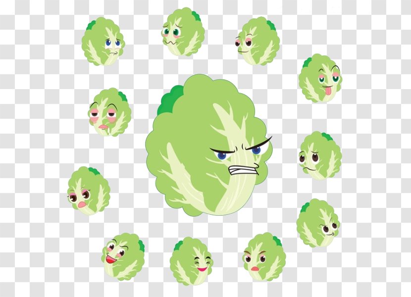 Chinese Cabbage Cartoon Vegetable - Fictional Character - Face More Transparent PNG