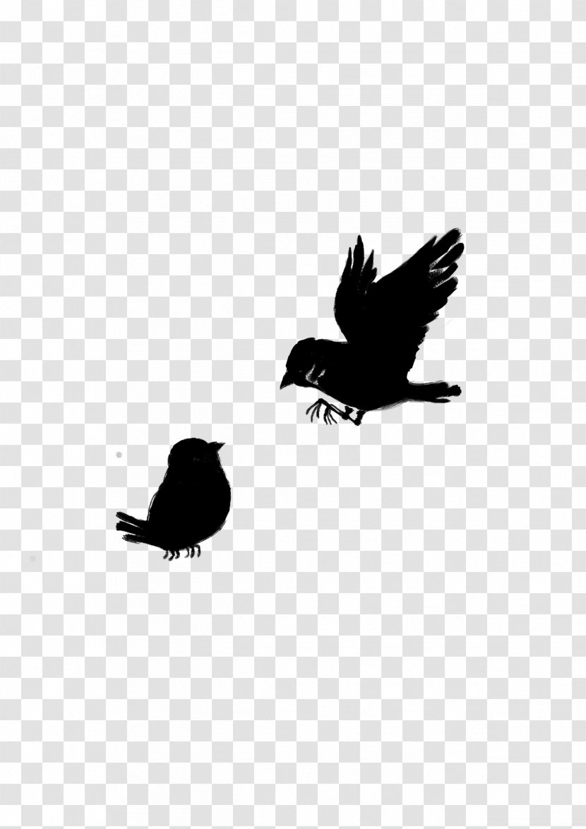 American Crow Common Raven Fauna Silhouette - Bald Eagle - Bird Transparent PNG