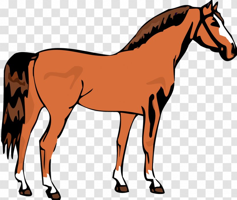 Painting Cartoon - Colt Livestock Transparent PNG