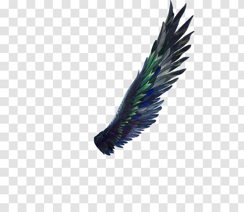 Dragon Rider: The Griffin's Feather Thief Lord - Right Wing - Pegasus Hair Transparent PNG