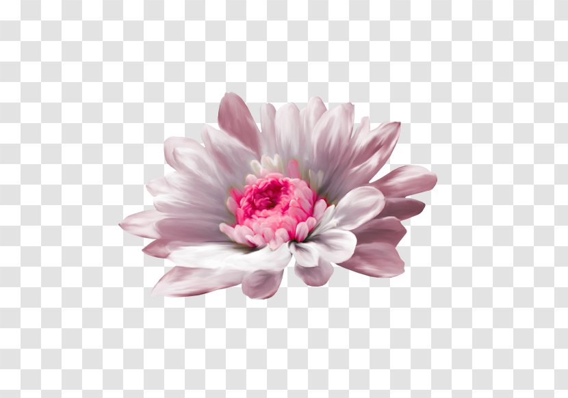 Desktop Wallpaper Flower Image Picture Frames Photograph - Drawing Transparent PNG