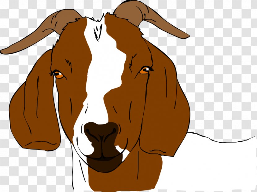 Boer Goat Anglo-Nubian Drawing Clip Art - Farm - Show Cliparts Transparent PNG