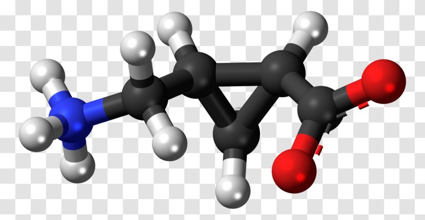 Carboxylic Acid Amino Organic Compound Carboxyl Group - Meaning - Camp Molecule Transparent PNG