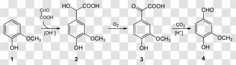 Myricetin Kaempferol Quercetin Vanillin Molecule - Text - White Transparent PNG
