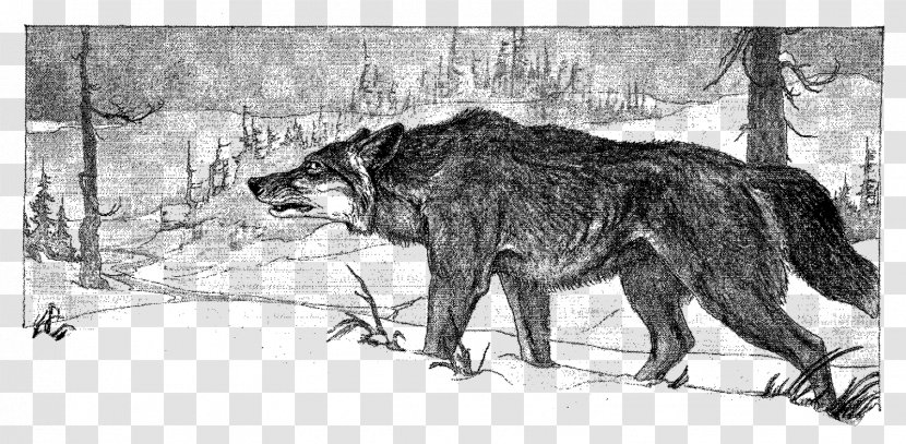 Gray Wolf Hunting Clip Art - Dog Like Mammal Transparent PNG