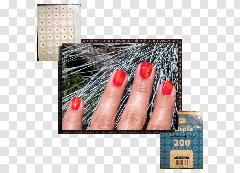 Nail - Finger - Hand Transparent PNG