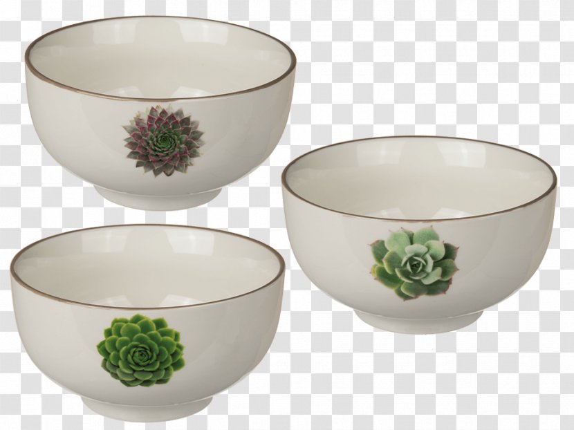 Bowl Tableware Porcelain Mug Glass - Home Decorations Transparent PNG