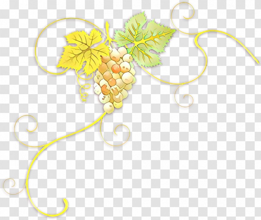 Clip Art Leaf Plant Grape Vitis - Flower Grapevine Family Transparent PNG