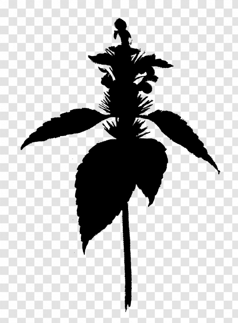 Flowering Plant Silhouette Leaf Plants - Blackandwhite Transparent PNG