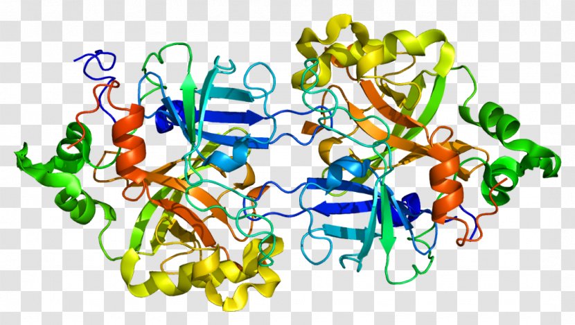 Complement Factor B System D Component 4 3 - Protein Structure - Alternative Pathway Transparent PNG