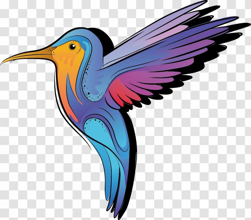 Hummingbird Color Cartoon - Fauna - Bee Bird Transparent PNG