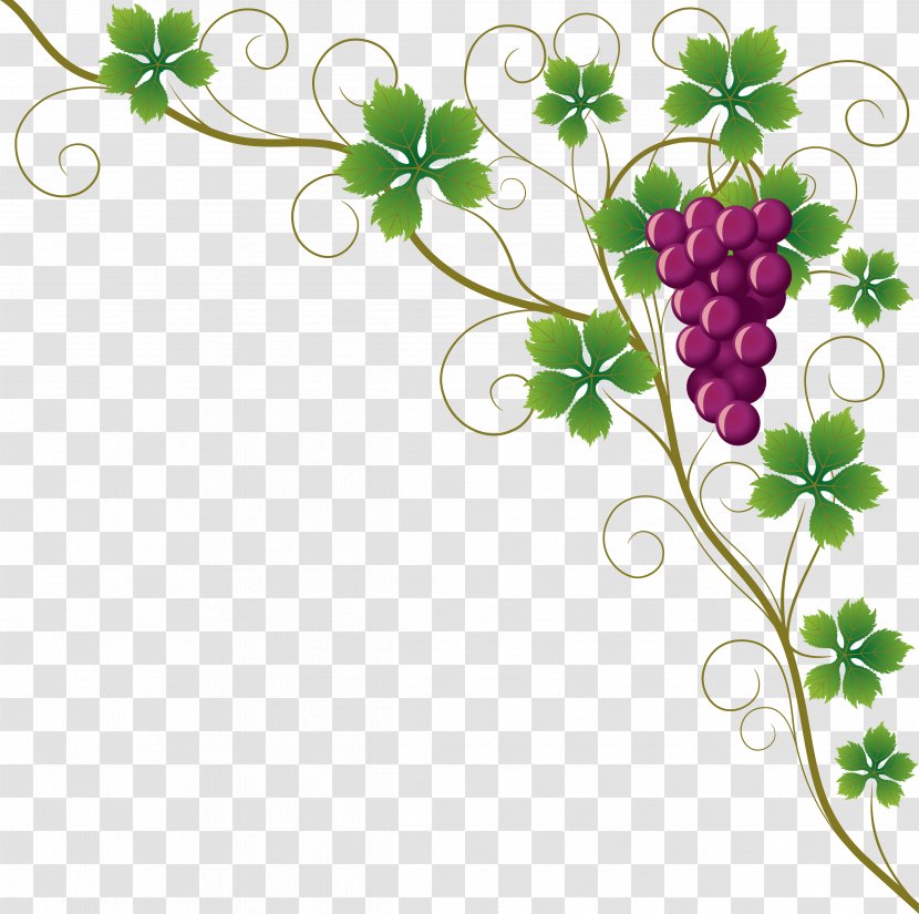 Common Grape Vine Leaves Wine Clip Art - Tree - Grapes Transparent PNG