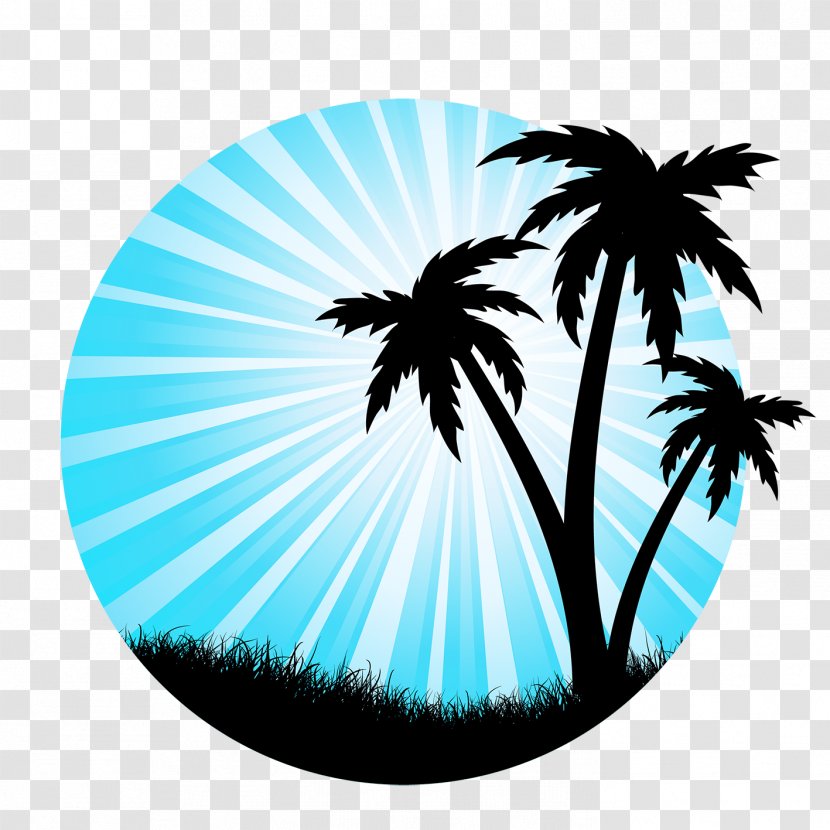 Arecaceae Silhouette Tree Drawing Transparent PNG