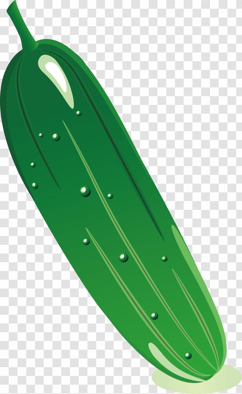 Cucumber Cartoon Clip Art - Vector Transparent PNG
