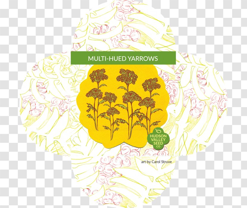 Yarrow Meadow Floral Design Aphrodisiac Garden - Watercolor - Achillea Millefolium Transparent PNG