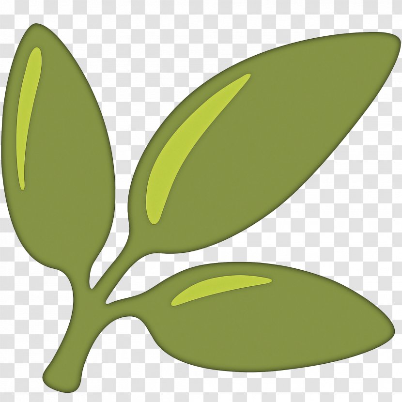 Green Leaf Logo - Olive - Eucalyptus Transparent PNG