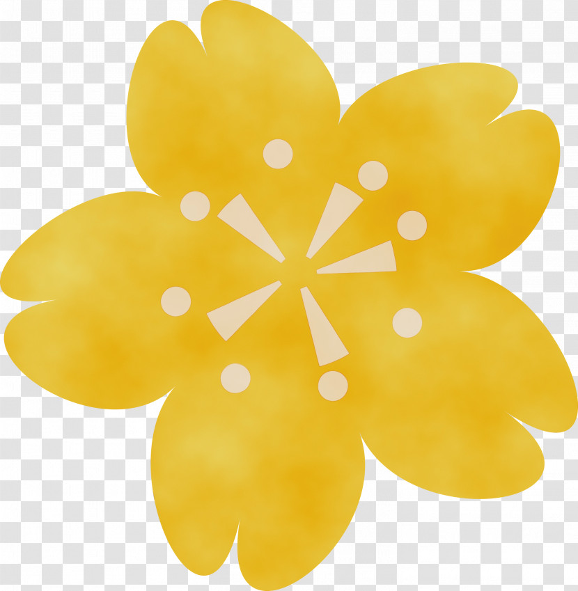 Yellow Petal Flower Plant Transparent PNG