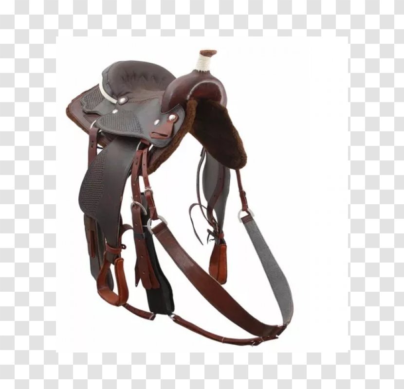 Campolina Bridle Saddle American Quarter Horse Rein - Harnesses - Cavalgada Transparent PNG
