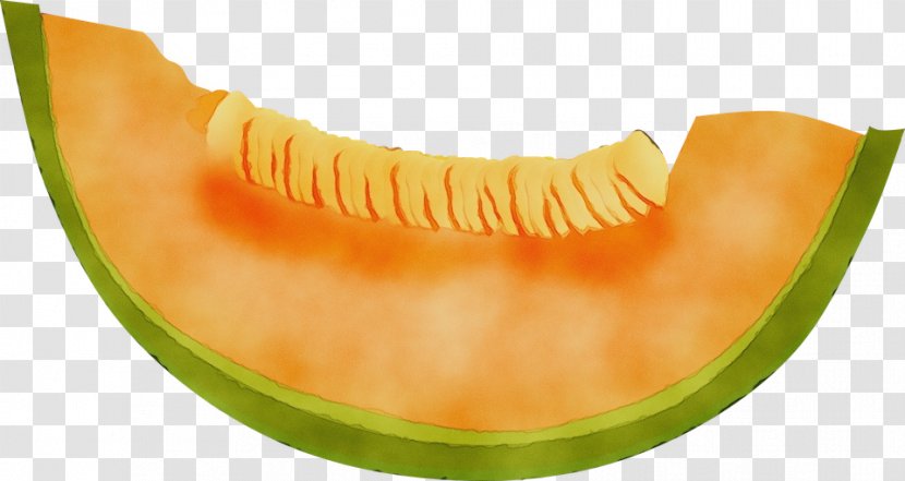 Orange - Fruit - Jaw Cucumis Transparent PNG