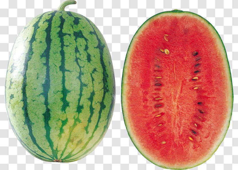 Watermelon Seed Oil Clip Art - Cucumber Gourd And Melon Family - Vegetable Transparent PNG