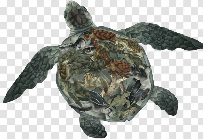 Box Turtles Reptile Tortoise Sea Turtle - Redeared Slider Transparent PNG