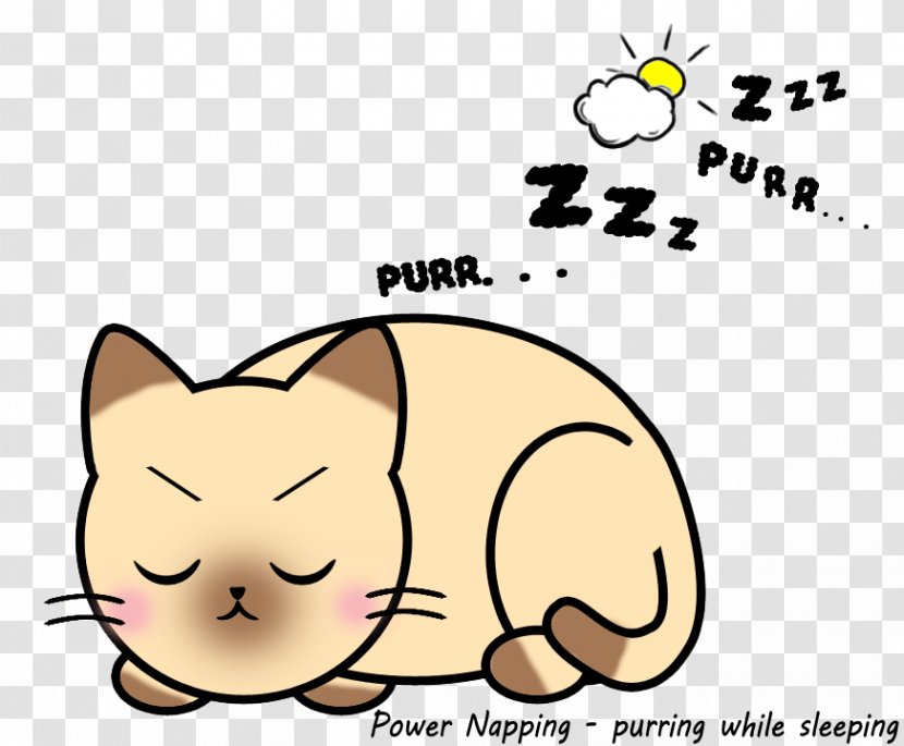 Kitten Whiskers Cartoon Power Nap - Frame Transparent PNG