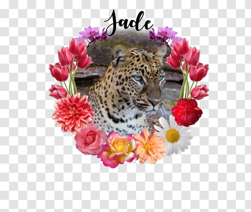 Leopard Cat Flowerz Whiskers Lexa Hill - Big Cats Transparent PNG