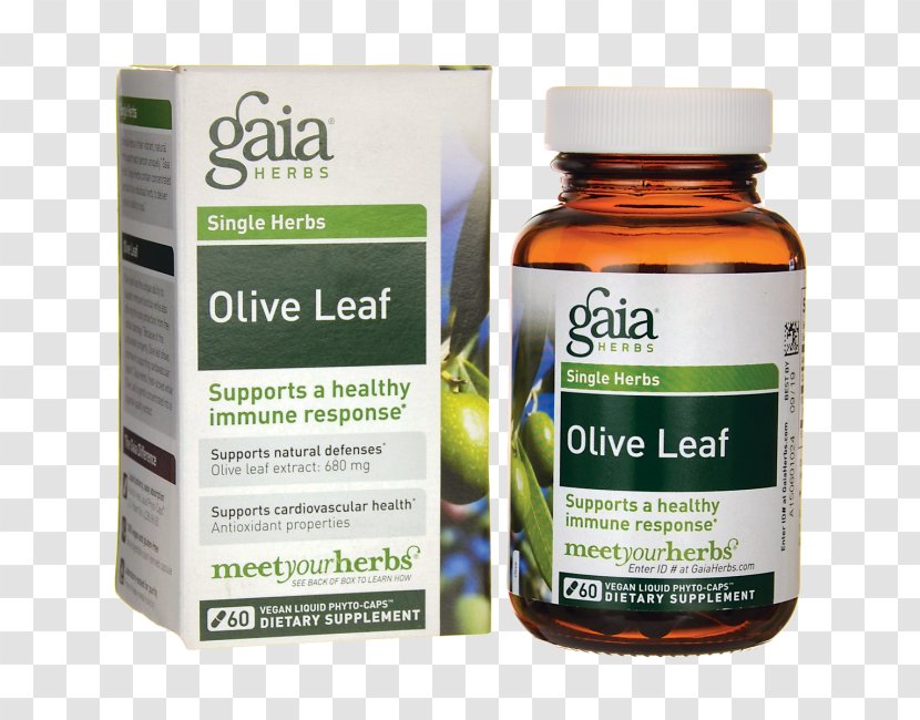 Dietary Supplement Vegetarian Cuisine Olive Leaf Herb - Extract Transparent PNG
