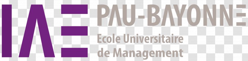 University Of Pau And Pays De L'Adour Institut D'Administration Des Entreprises Bayonne Student - Number Transparent PNG