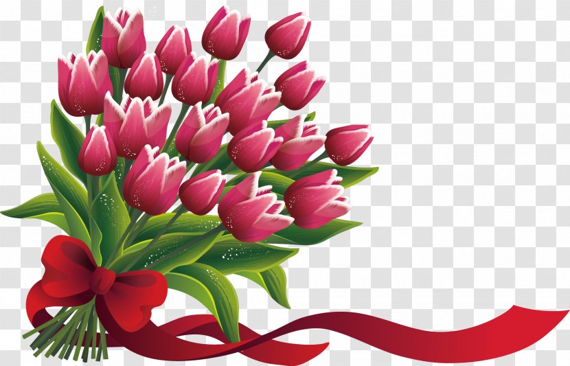 Tulip Flower Adobe Illustrator - Rose Transparent PNG