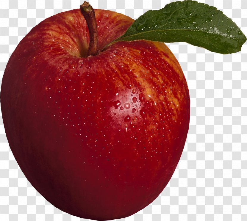 Apple Fruit - Food Transparent PNG