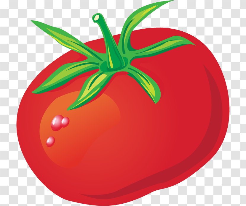 Tomato Euclidean Vector Clip Art - Plant - Tomatoes Material Transparent PNG