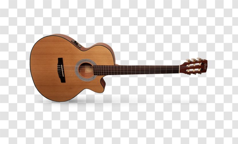 Classical Guitar Cort Guitars Steel-string Acoustic - Tree Transparent PNG