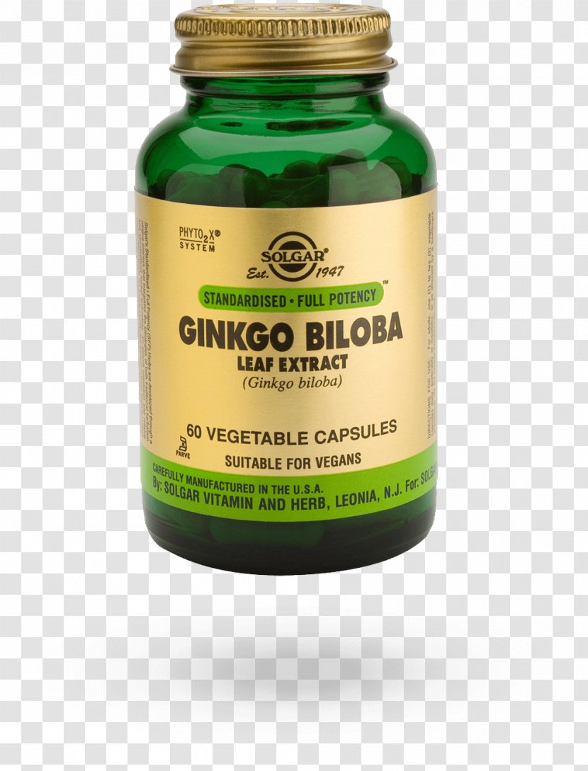 Ginkgo Biloba Extract Olive Leaf Dietary Supplement Vegetable - Gingo - Ginkgo-biloba Transparent PNG