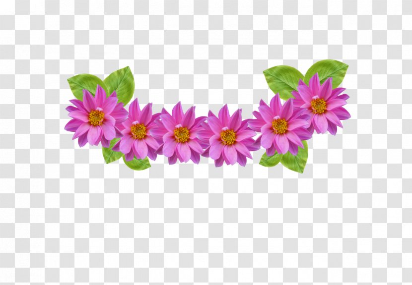 Flower Pink Petal Plant Purple - Wildflower - Cut Flowers Transparent PNG