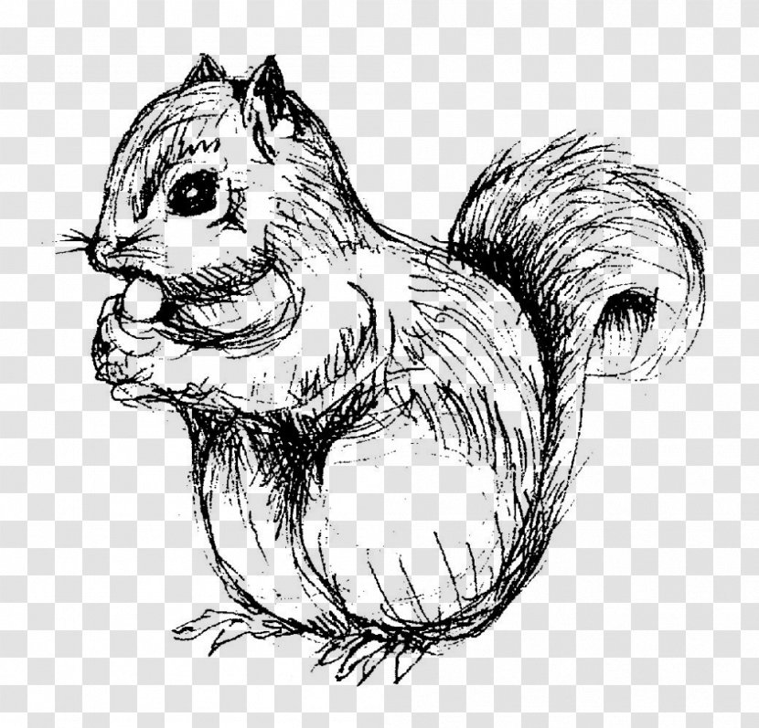 Squirrel Chipmunk Drawing Line Art Sketch Transparent PNG