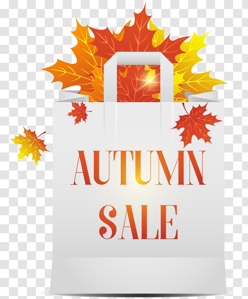 Bag Leaf Euclidean Vector - Autumn Color - Maple Transparent PNG