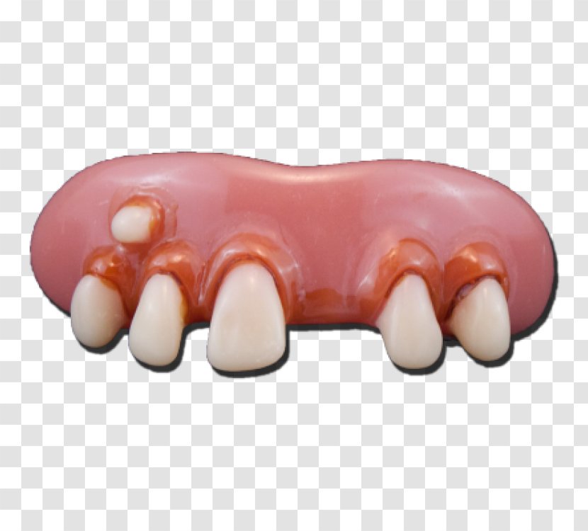 Human Tooth Dentistry Dentures - Hillbilly - Seraphina Picquery Transparent PNG