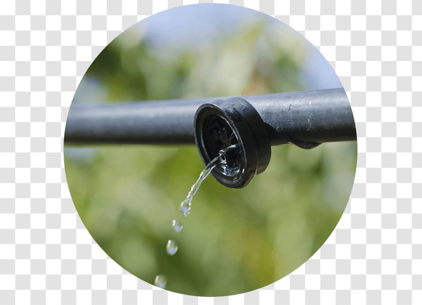 Water Footprint טפטפת Drip Irrigation Transparent PNG